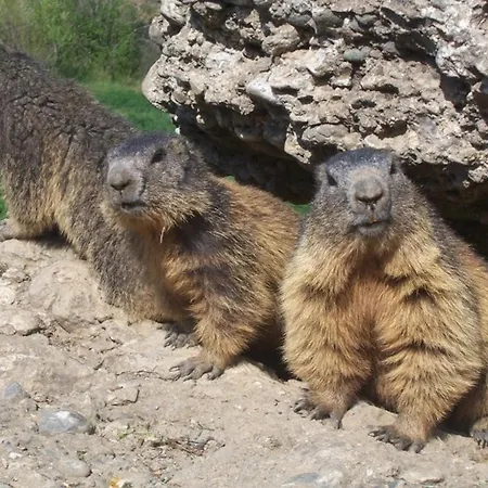 T3 6 Pers Avec Jardinet, Bbq, Proche Thermes, Parking Prive, 3 Stations De A Proximite - Fr-1-402-9