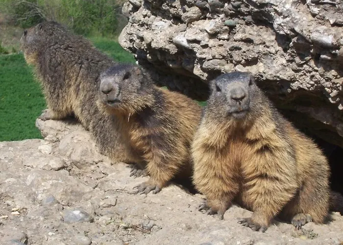 T3 6 Pers Avec Jardinet, Bbq, Proche Thermes, Parking Prive, 3 Stations De A Proximite - Fr-1-402-9